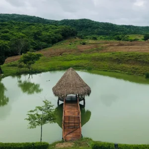 Coral Land & House - Image 7