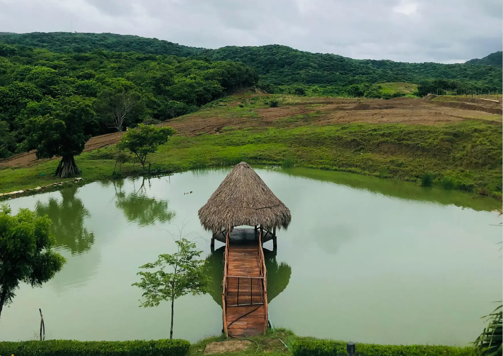 Coral Land & House - Image 7