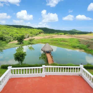 Coral Land & House - Image 5