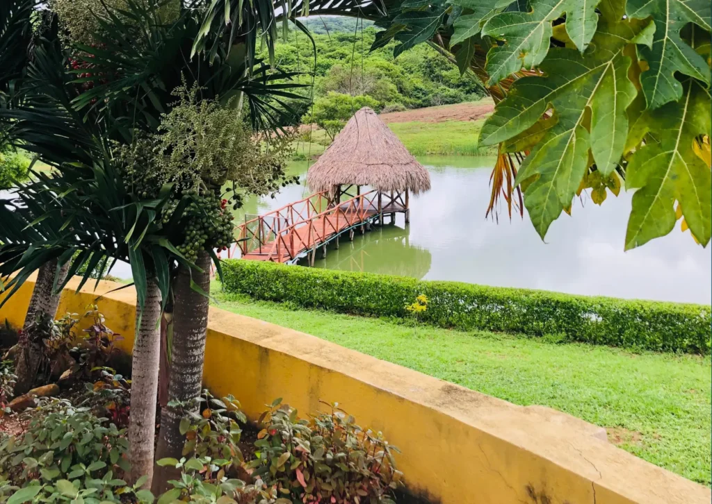 Coral Land & House