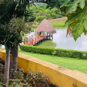 Coral Land & House - Image 6